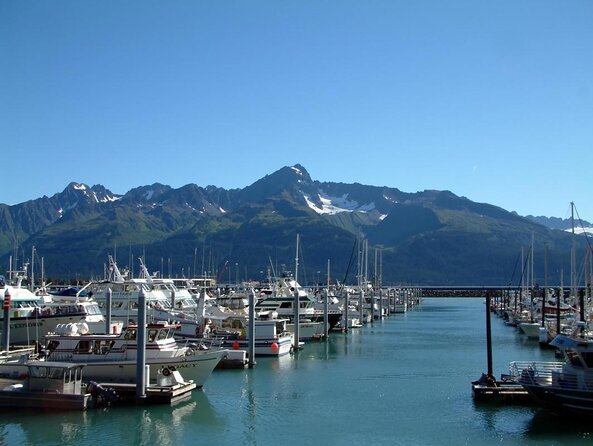 Kenai Fjords and Resurrection Bay Half-Day Wildlife Cruise - Cape Resurrection, sea lions, and seabird cliffs