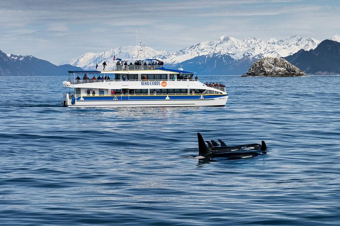 Kenai Fjords National Park Glacier & Wildlife Cruise - Staying comfortable on open water
