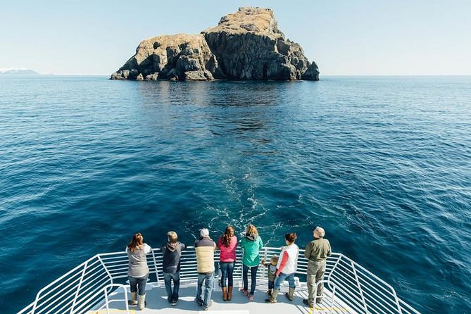 Kenai Fjords National Park Glacier & Wildlife Tour from Seward - What the $223.85 price buys you