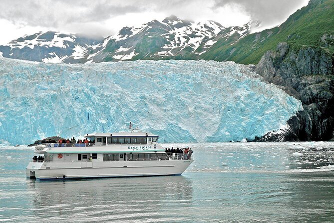 Kenai Fjords National Park Glacier & Wildlife Tour from Seward - Seabird colonies at the Alaska Maritime National Wildlife Refuge