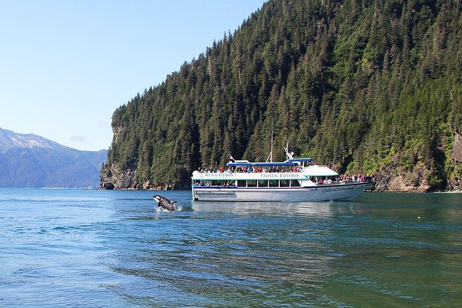 Kenai Fjords National Park Glacier & Wildlife Tour from Seward - Cape Aialik and the first glacier views