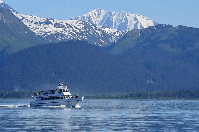 Kenai Fjords Orca Quest Cruise - Orca sightings are exciting, but never promised