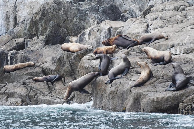 Kenai Fjords Orca Quest Cruise - The boat is built for long viewing sessions
