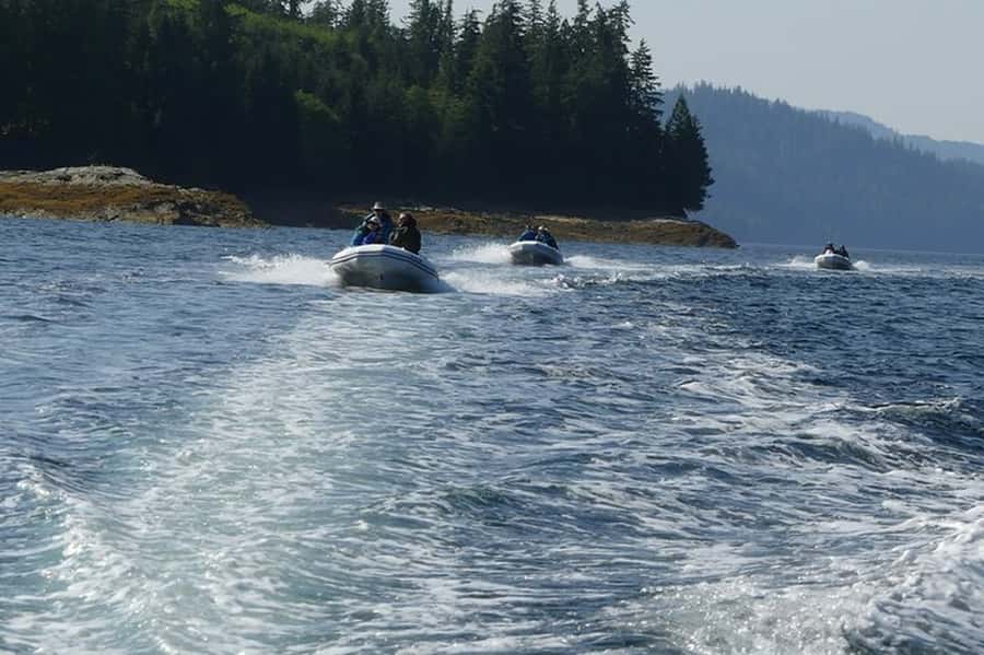 Scenic Drive & George Inlet Fjords Zodiac Cruise