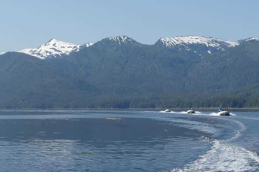 Ketchikan: Scenic Drive & George Inlet Fjords Zodiac Cruise - Wildlife watching on a small boat