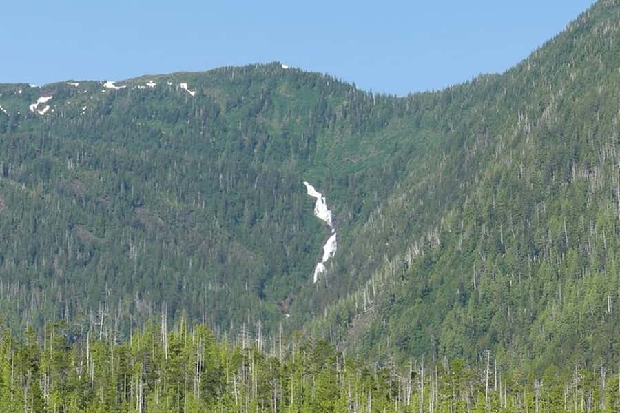 Ketchikan: Scenic Drive & George Inlet Fjords Zodiac Cruise - Who should book this Ketchikan Zodiac outing