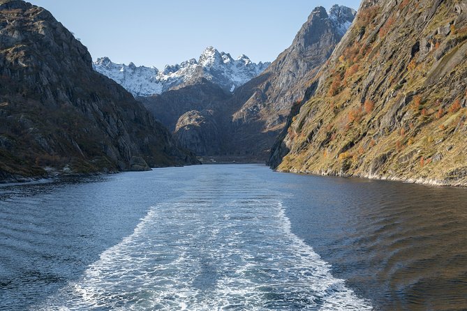 Lofoten Island: Silent Trollfjord Cruise from Svolvær - Trollfjord: mountains, waterfalls, and white-tailed eagles