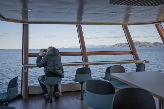 Lofoten Island: Silent Trollfjord Cruise from Svolvær - Food, drinks, and comfort during three hours