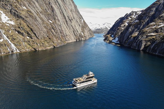Lofoten Island: Silent Trollfjord Cruise from Svolvær - Is $144.34 a fair price?