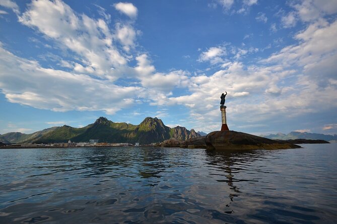 Lofoten RIB Sea Eagle Safari and Trollfjord Cruise - Meeting the sea eagles