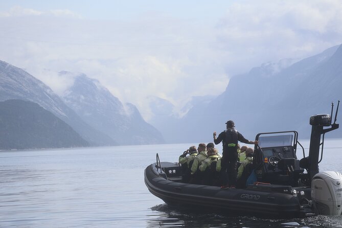 Lysefjord RIB Safari from Stavanger - Key points before you book