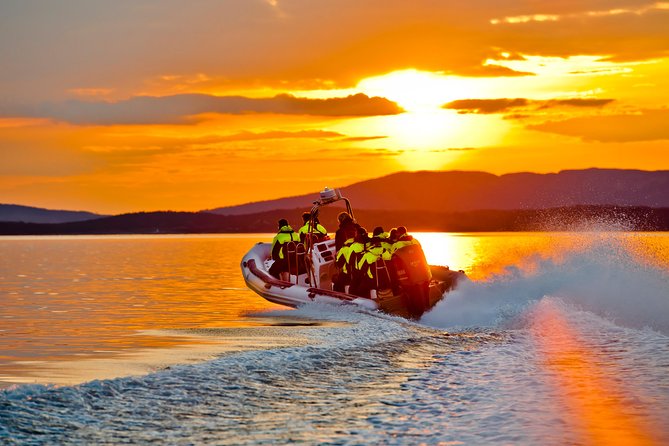 Lysefjord RIB Safari from Stavanger - Speed, music, and the captain’s style