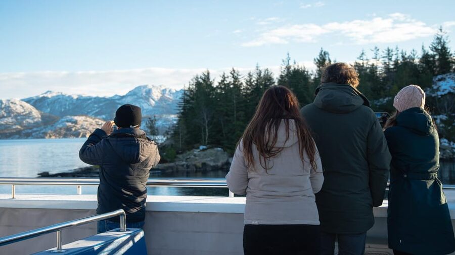 Lysefjorden cruise & Preikestolen guided hike - winter - Key points to know before booking