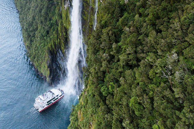 Milford Sound Luxury Lunch Cruise onboard The Fiordland Jewel - Wildlife watching with room to pay attention