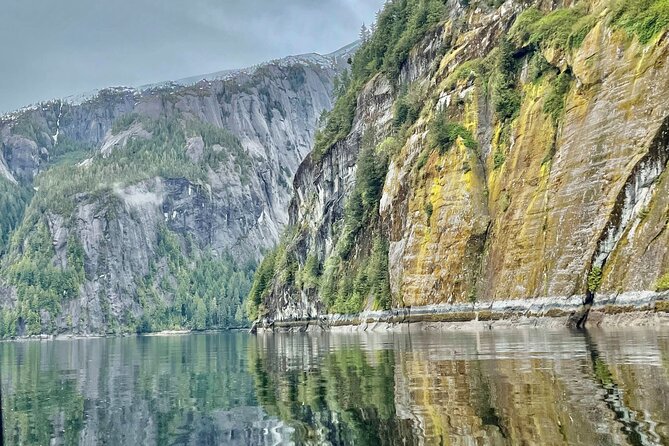 Misty Fjords Expedition - 6 Passenger Boat - Wildlife watching from a six-person boat