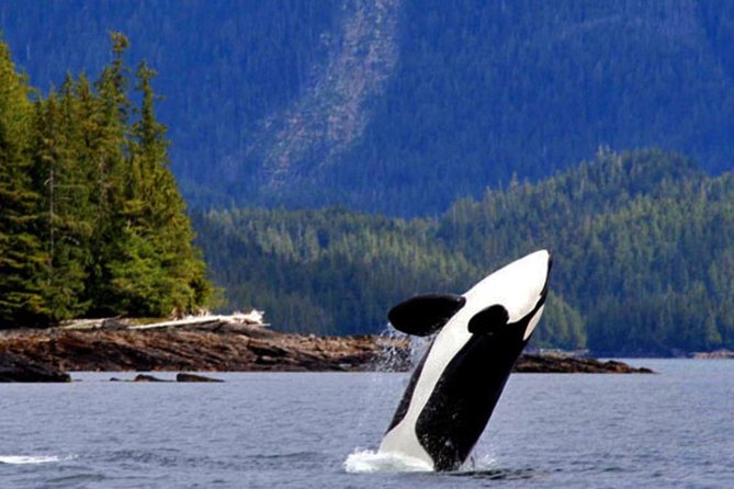 Misty Fjords Expedition - 6 Passenger Boat - What to bring and how to use your time