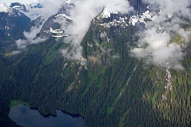 Misty Fjords Flightseeing 1 hour - Who should book this flight