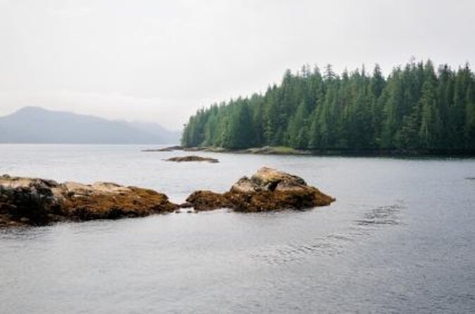 Misty Fjords National Monument Floatplane Tour - Key things to know before you book