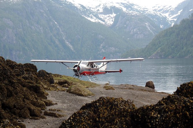 Misty Fjords Seaplane Tour - The real value of $425