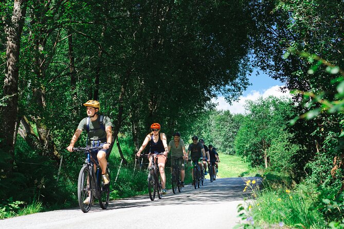 Olden: Fjord e-bike tour - Key points for your Olden day