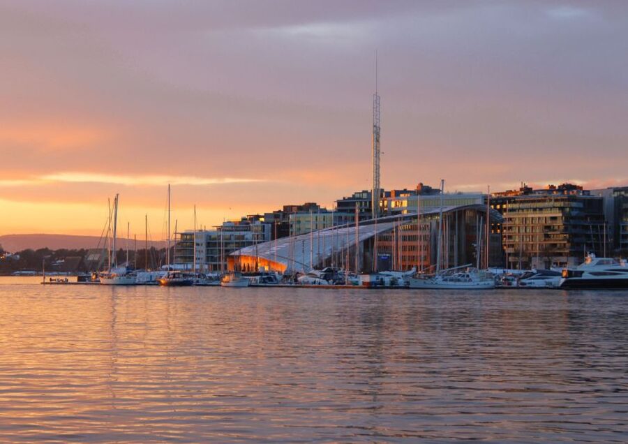 Oslo: 100% Electric Oslofjord Sightseeing Cruise - What food and comfort are like on board