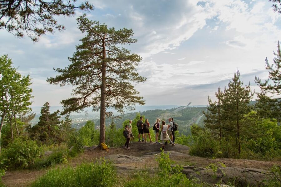 Oslo: Best View of the Oslofjord Hike - The metro ride from Oslo Central Station
