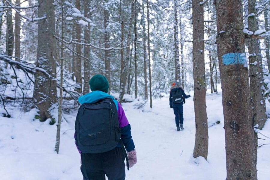 Oslo: Best View of the Oslofjord Winter Edition - Guides, group size, and the pace