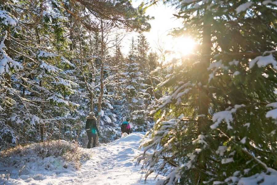 Oslo: Best View of the Oslofjord Winter Edition - Snowy forest trails and frozen ponds