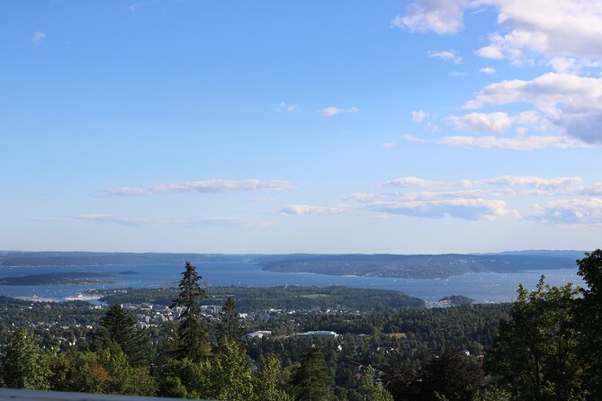 Oslo City Highlights with Fjord Cruise - The guide can shape the whole experience