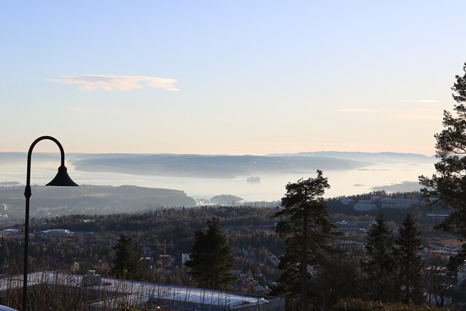 Oslo City Highlights with Fjord Cruise - FAQ