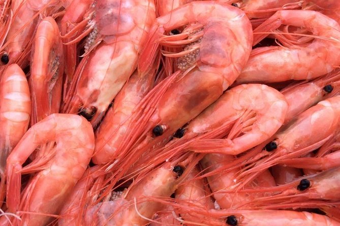 Oslo Fjord Evening Cruise with Shrimp Buffet on a Sailing Ship - Who Will Enjoy This Cruise Most?