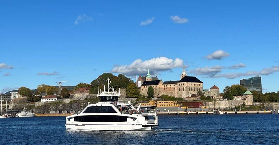 Oslo: Guided Oslo Highlights Tour by bus & Oslofjord cruise - Why Vigeland Sculpture Park is the highlight
