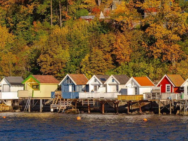 Oslo: Guided Sightseeing Fjord Cruise on Premium Silent Boat - Why this electric Oslofjord cruise works so well