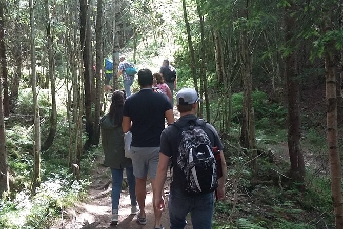 Oslo Nature walks: Forest to Fjord - Sognsvann adds a quieter finish