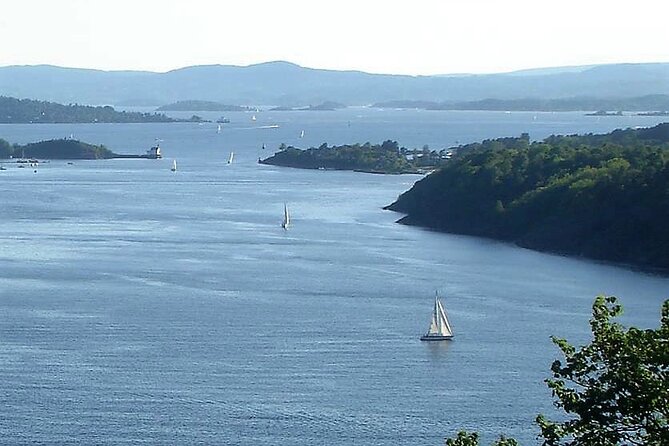 Oslo Nature walks: Forest to Fjord - What walking through Nordmarka is really like