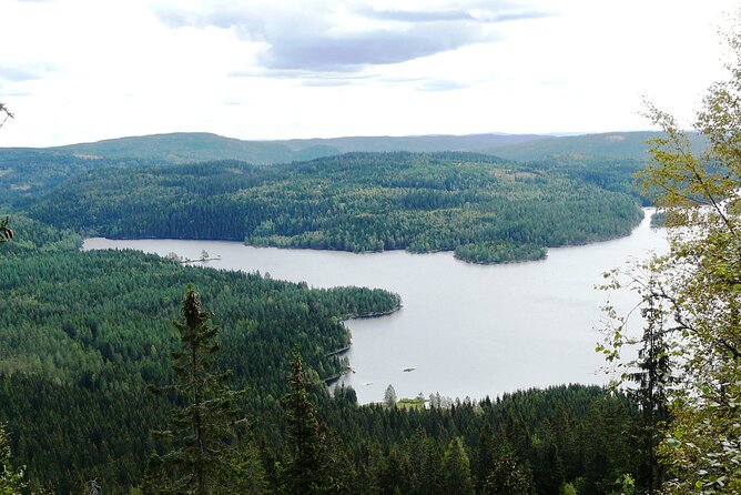 Oslo Nature walks: Forest to Fjord - Price, timing, and what you receive