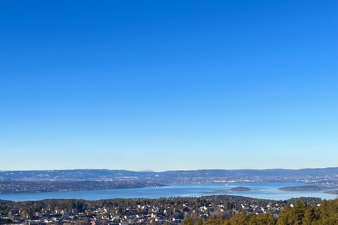 Oslo: Panoramic Fjord Hike Lead by a Local Guide and Dog - Who Will Get the Most From This Hike?