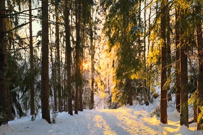 Oslo: Panoramic Fjord Hike Lead by a Local Guide and Dog - The Trail: Easy Walking With Enough Interest