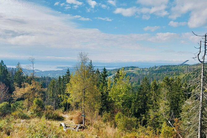 Oslo’s Ultimate Fjord View Hike & Norwegian Waffle Workshop - Bantjern and the Norwegian waffle fire