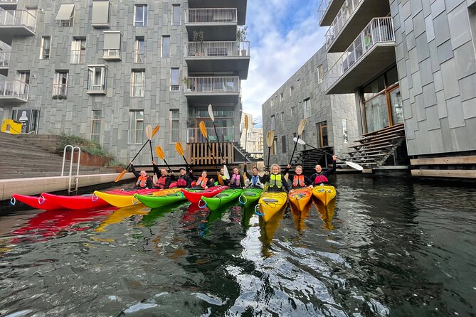 Oslo Sea Kayak Tour: Explore The Incredible Oslofjord - Munch, Deichman Bjørvika, and the changing skyline
