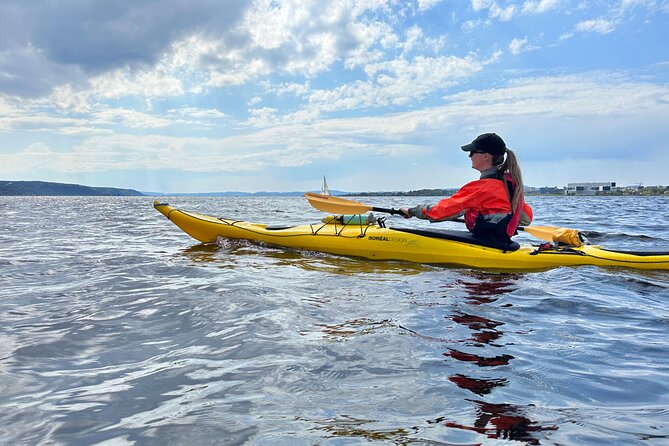 Oslo Sea Kayak Tour: Explore The Incredible Oslofjord - Hovedøya and the wider Oslofjord