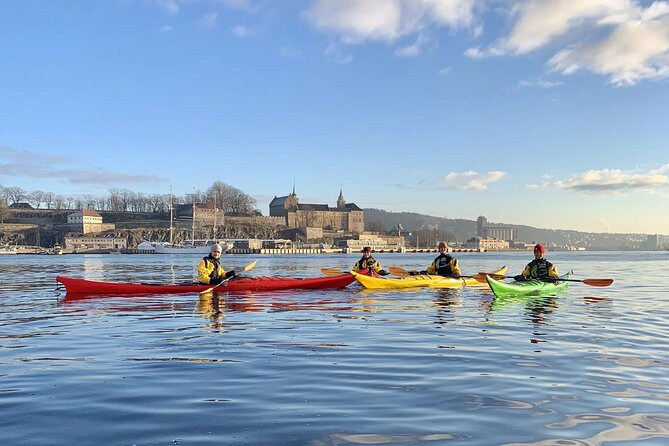Oslo Sea Kayak Tour: Explore The Incredible Oslofjord - Starting in Tjuvholmen near the city center