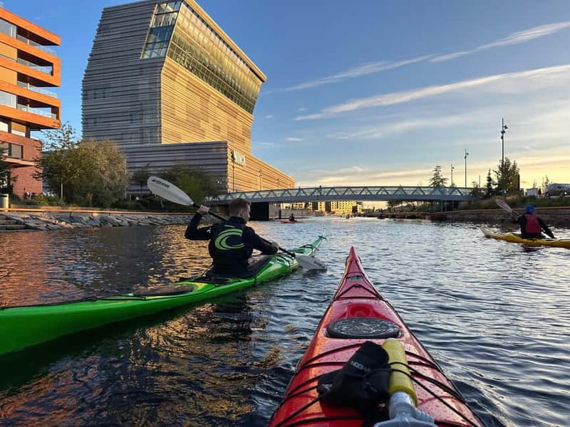 Oslo Sea Kayak Tour “Fjord City” - Should You Book Oslo Fjord City Kayaking?