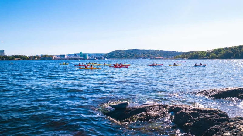 Oslo Sea Kayak Tour “Fjord City” - Your First Hour: Safety, Technique, and Akershus Fortress