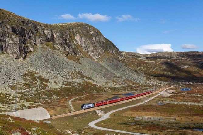 Oslo To Bergen Self-Guided Full Day Trip with Flåm Railway And Fjord Cruise - Changing trains at Myrdal