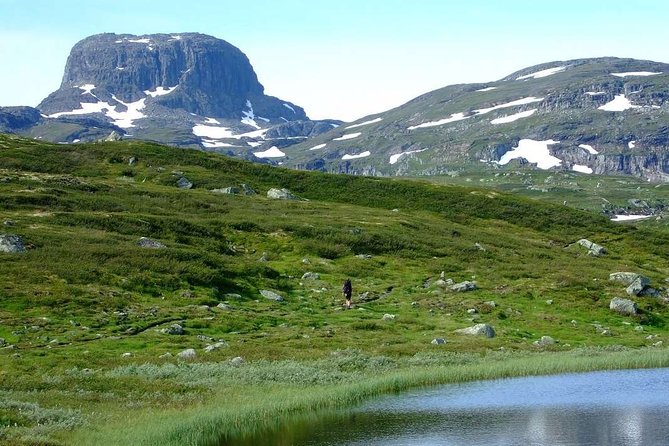 Oslo To Sognefjord Private Full Day Roundtrip Including Flam Railway - Myrdal to Geilo, then back to Oslo