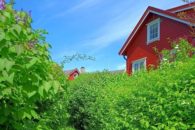 Oslofjord Island Hopping Tour - Key points to know before booking