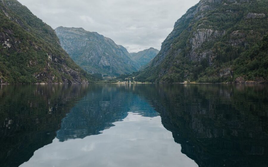Øystese: Hardangerfjord RIB safari to the Fyksesund branch - Guide quality and the human side of the ride