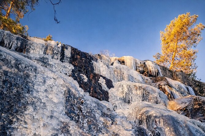 Panoramic Peaks and Oslo’s Best Fjord Views Hike - Forest trails, old woodland, and quiet lakes