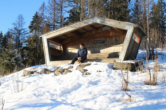 Panoramic Peaks and Oslo’s Best Fjord Views Hike - What the small group changes